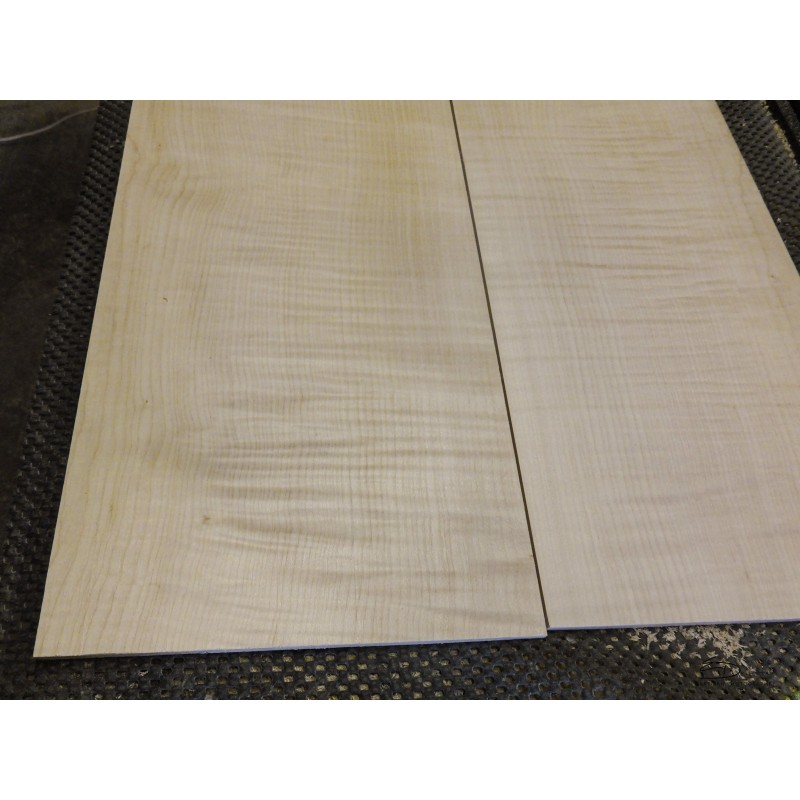 QHQ Flamed maple top 200x500 (x2) th10